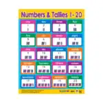 Numbers & Shapes – Educational Wall Chart Pack of 6 Charts in English, Learning Posters - view 5