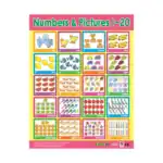 Counting & Shapes – Educational Wall Chart Pack of 6 Charts in English, Learning Posters - view 3