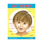 Me & My Body – Educational Wall Chart Pack of 6 Charts in English, Learning Posters for Playschool and Kindergarten - view 4