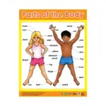 Me & My Body – Educational Wall Chart Pack of 6 Charts in English, Learning Posters for Playschool and Kindergarten - view 7