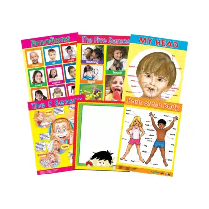 Me & My Body – Educational Wall Chart Pack of 6 Charts in English, Learning Posters for Playschool and Kindergarten