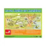 Animal Wonders – Educational Wall Chart Pack of 6 Charts in English, Learning Posters - view 2