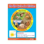 Animals & Life Cycles – Educational Wall Chart Pack of 6 Charts in English, Learning Posters - view 3