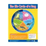Animals & Life Cycles – Educational Wall Chart Pack of 6 Charts in English, Learning Posters - view 4