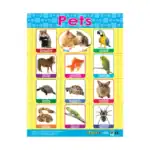 Animals & Life Cycles – Educational Wall Chart Pack of 6 Charts in English, Learning Posters - view 6