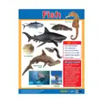 Animal Classification – Educational Wall Chart Pack of 6 Charts in English, Learning Posters - view 2