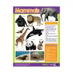 Animal Classification – Educational Wall Chart Pack of 6 Charts in English, Learning Posters - view 5