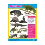 Animal Classification – Educational Wall Chart Pack of 6 Charts in English, Learning Posters - view 6