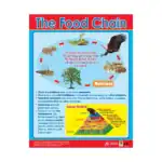 Nature’s Wonders – Educational Wall Chart Pack of 6 Charts in English, Learning Posters - view 4