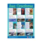 Nature’s Wonders – Educational Wall Chart Pack of 6 Charts in English, Learning Posters - view 5