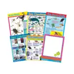 Nature’s Wonders – Educational Wall Chart Pack of 6 Charts in English, Learning Posters