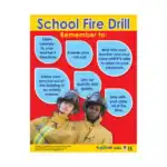 Safety Essentials – Educational Wall Chart Pack of 6 Charts in English, Learning Posters - view 7