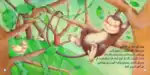 The Monkey Who Wanted to Be a Deer – Arabic Story Book for Kids on Self-Acceptance, Works with Reading Pen (Sold Separately)