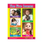 The Five Senses – Educational Wall Chart in English with QR Codes, Multicolour Classroom Poster for Kids