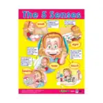 The 5 Senses – Educational Wall Chart in English with QR Codes, Multicolour Classroom Poster for Kids