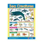 Sea Creatures – Educational Wall Chart in English with QR Codes, Multicolour Classroom Poster for Kids