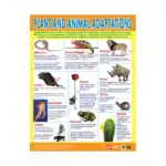 Plants and Animal Adaptations – Educational Wall Chart in English with QR Codes, Multicolour Classroom Poster for Kids