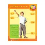 The Body Parts – Educational Wall Chart in Arabic – Classroom Poster with Downloadable QR Code Audio-Visual Version
