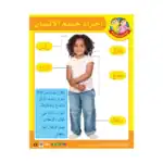 The Body Parts – Educational Wall Chart in Arabic – Classroom Poster with Downloadable QR Code Audio-Visual Version