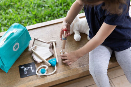 PlanToys Vet Set – Wooden Pretend Play Veterinarian Medical Set with Doctor Bag for Kids - view 2