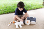 PlanToys Pet Care Set – Wooden Pretend Play Set with Carry Case and Pet Passport for Kids - view 6