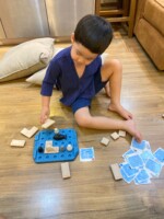 PlanToys Finding Penguin Game – Strategic Puzzle Game with 15 Challenge Cards for Critical Thinking, for Kids - view 5