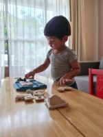PlanToys Finding Penguin Game – Strategic Puzzle Game with 15 Challenge Cards for Critical Thinking, for Kids - view 4