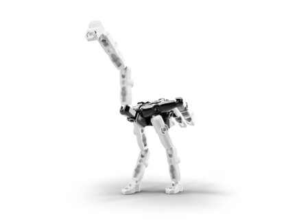Zpiiel ZooZ – The Ostrich, Buildable Animal Figure Building Toy with Animal Fact in Every Box, for Kids - view 2