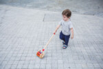 PlanToys Walk N Roll – Wooden Push-Along Toy for Toddlers Ages 1+ - view 4