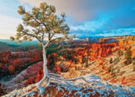EuroGraphics Winter Sunrise – 1000-Piece Jigsaw Puzzle, 19.25 x 26.5 Inches, Recycled Board - view 3