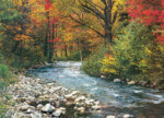 EuroGraphics Forest Stream – 1000-Piece Jigsaw Puzzle, 19.25 x 26.5 Inches, Recycled Board - view 3