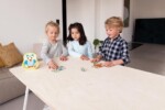Scratch Europe Owl Puzzling Game in Contour Box – 4 Colored Owl Puzzles with Die for Kids, Ages 3+ - view 5