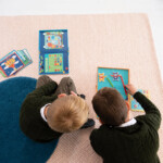 Scratch Europe Animal Counting Magnetic Game – 20 Challenges and 4 Animal Themes for Kids - view 6